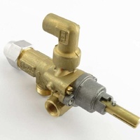 Waldorf 017801 - GAS CONTROL-PINTOSSI PEL 21S | Waldorf spare part