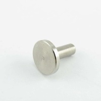 Washtech 173 30002 - PIN DOOR HINGE GE/GM | Washtech spare part