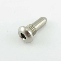 Washtech 255 30001 - PIN DOOR HINGE UD5 | Washtech spare part