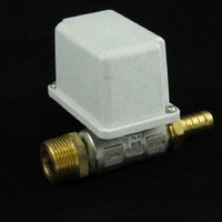 Washtech 280 10010 - WATER SOLENOID BRACTON | Washtech spare part
