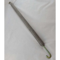 Washtech 326 30019 - SPRING DOOR M2(3) | Washtech spare part