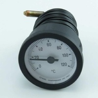 Washtech 35023 - TEMP GAUGE T52PS 2M CAP BONW | Washtech spare part