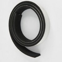 Washtech 360 90066 - DOOR SEAL FOAM STRIP TW | Washtech spare part