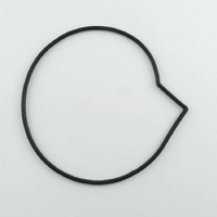 Washtech 38886 - GASKET SUIT 3888/3904 PUMP | Washtech spare part