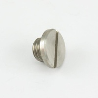 Washtech 400 30018 - PLUG WASH TUBE END | Washtech spare part
