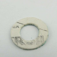 Washtech 400 90010 - GASKET 10X19X.8 CAF | Washtech spare part