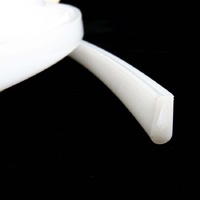 Washtech 43585 - STRIP DOOR REAR NYL AL/M1/M2/CD120 1 mtr | Washtech spare part