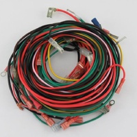 Washtech 600 30422 - LOOM KIT AC HIGH VOLTAGE | Washtech spare part