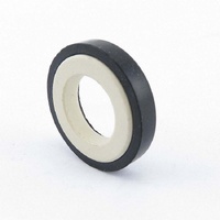 Washtech 600 41110 - SEAL, FIXED | Washtech spare part
