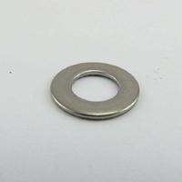 Washtech 600 80022 - WASHER FL SS 304 M8X16X1.25 | Washtech spare part