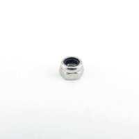 Washtech 600 80060 - NUT NYLOC M5 S/S | Washtech spare part