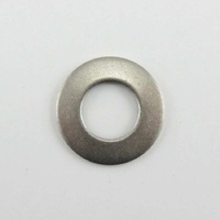 Washtech 600 80146 - WASHER SPRING | Washtech spare part