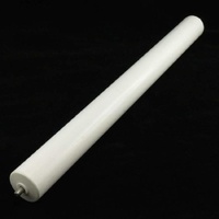 Washtech 845 90001 - ROLLER ASSY STANDARD 553 LONG | Washtech spare part