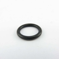 Washtech ARP113 - O RING ARP113 | Washtech spare part