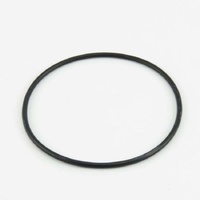 Washtech ARP241 - O RING | Washtech spare part