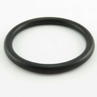 Washtech C200820 - O RING ELEMENT GA - ARP328, | Washtech spare part
