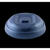Aladdin Temp-Rite ALRD500 - RADIANCE HIGH PERFORMANCE DOMESapphire12 | Aladdin Temp-Rite spare part