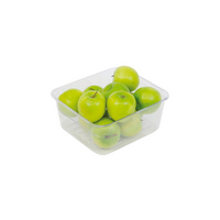 Fisher & Paykel Fisher & Paykel Fridge Veg Crisper Inside Bin | Suits: E373RW1 (24873-A) E373RW1 (25052-A) E450L (22101-A) E450L (22101-B) E450L (22101-C)  spare part