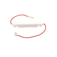 Universal Microwave High Voltage Fuse 5kV 850mA spare part