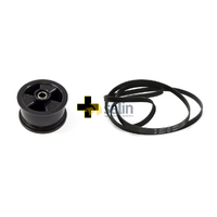 Simpson GENUINE SIMPSON EZISET DRYER IDLER PULLEY 0197300040 & DRUM BELT 0198300011 spare part