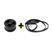 Electrolux GENUINE ELECTROLUX SIMPSON DRYER DRUM BELT IDLER PULLEY ASSEMBLY 91600200000 916 spare part