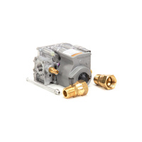 Anets Natural Gas valve 24v 60113503-C for Anets Fryers spare part