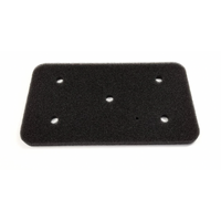 Fisher & Paykel FISHER & PAYKEL DRYER FILTER SPONGE | P/N: H0180300116 Description Suits:  DH9060PG2  DH9060FS1 DH9060P2 | Spare Part No: H0180300116 spare part