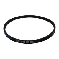 Simpson Genuine Belt Drive For Simpson 913041059 Spare Part No: 119345100 spare part