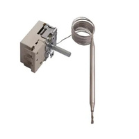 EGO Bain Marie Washtec E.G.O Thermostat 30-110C - 55.18224.010 spare part