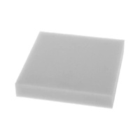 Bosch Bosch Vacuum Foam Filter - 12011363 spare part