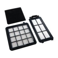 Electrolux Electrolux Vacuum Aero Performer Cyclonic Filter Kit - EF124A spare part