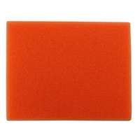 Electrolux Electrolux Vacuum Cleaner Orange Exhaust Filter - 1184283032 spare part