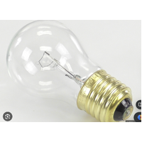 Fisher & Paykel Fisher & Paykel Fridge / Freezer BULB LIGHT - WR02X12207 230V 40W E27 spare part