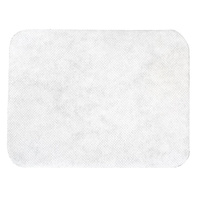 Philips Philips PowerPro Compact Active Vacuum Exhaust Filter - 432200493821 spare part