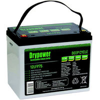 LiFePO4 Rechargeable Lithium Battery Drypower | Capacity: 74.8Ah | 12.8V | Terminal: F18 | For Medical | For Solar and more  