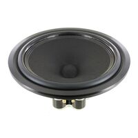 SCAN-SPEAK 8 MID-WOOFER ELLIPTICOR 