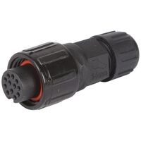 STANDARD SERIES PLUG (R) SCREW 