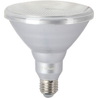 Verbatim PAR38 18W LED SPOT GLOBE E27 BASE IP65  spare part