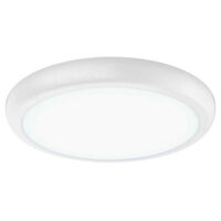 22W LED SWITCHABLE COLOUR TEMPERATURE OYSTER LIGHT 300mmØ 