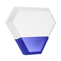 OUTDOOR STROBE SIREN 