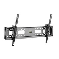 45Kg ANTI-THEFT TILTABLE WALL MOUNT 