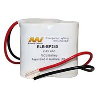 EMERGENCY LIGHTING BATTERIES 