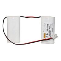 EMERGENCY LIGHTING BATTERIES 