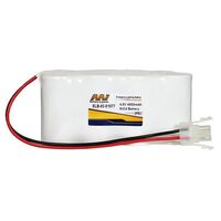 EMERGENCY LIGHTING BATTERIES 