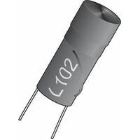 Magnet Core Inductor |  Value: 102µH