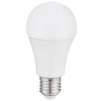 E27 SCREW TYPE LED LIGHT BULBS ENSA 