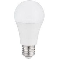 E27 SCREW TYPE LED LIGHT BULBS ENSA 