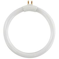 REPLACEMENT FLUORESCENT GLOBE 