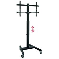 40Kg PROFESSIONAL SPRING VIDEO TROLLEY 