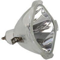 LG Rear-Projector Lamp | 100W | Suits DX630